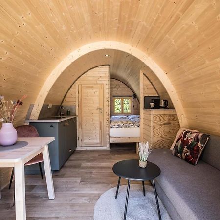 Luxe Woodlodge In Een Prachtige En Bosrijke Omgeving Bornerbroek Εξωτερικό φωτογραφία