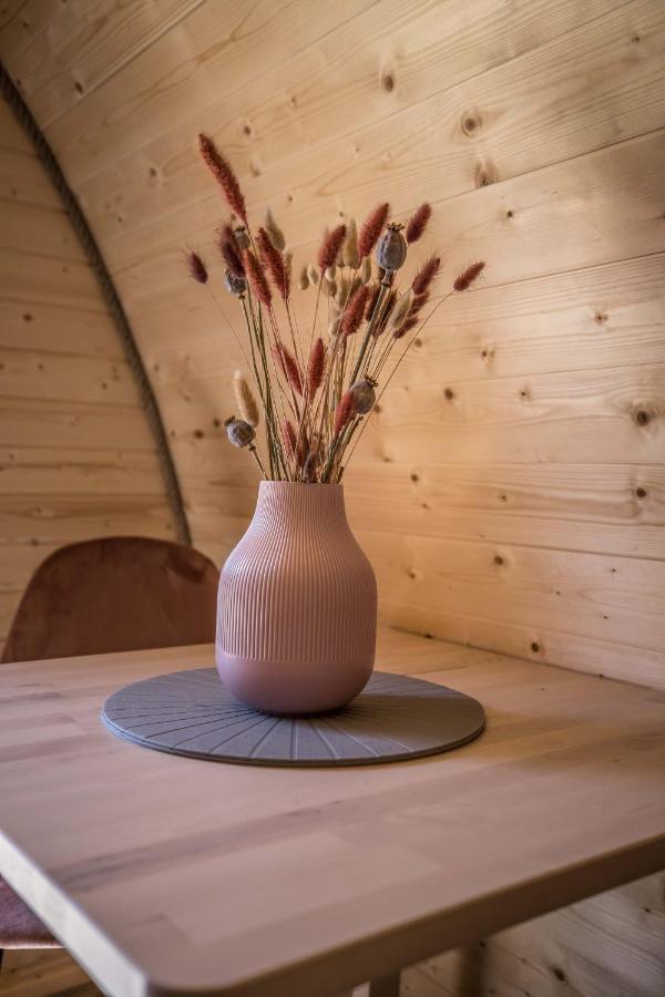 Luxe Woodlodge In Een Prachtige En Bosrijke Omgeving Bornerbroek Εξωτερικό φωτογραφία