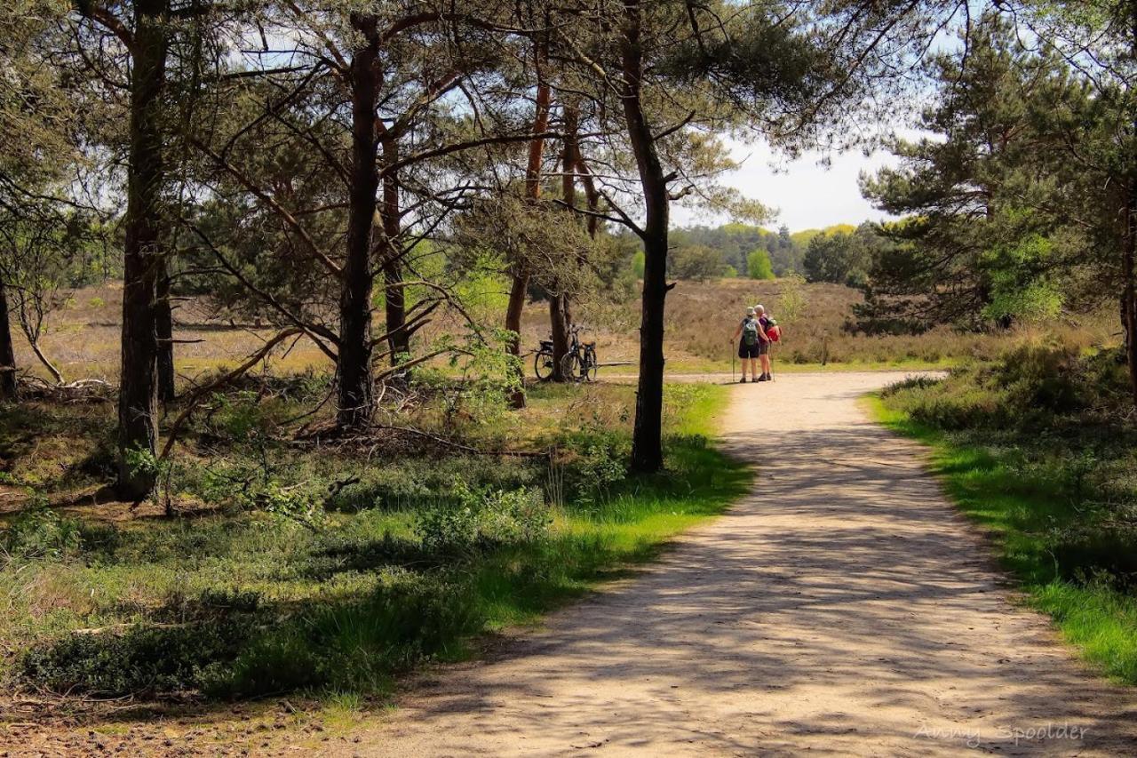 Luxe Woodlodge In Een Prachtige En Bosrijke Omgeving Bornerbroek Εξωτερικό φωτογραφία